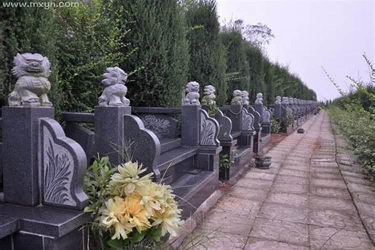 梦见墓地陵园是什么预兆呢