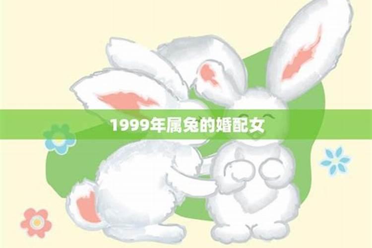 1999年兔男与1999年兔女婚配吗