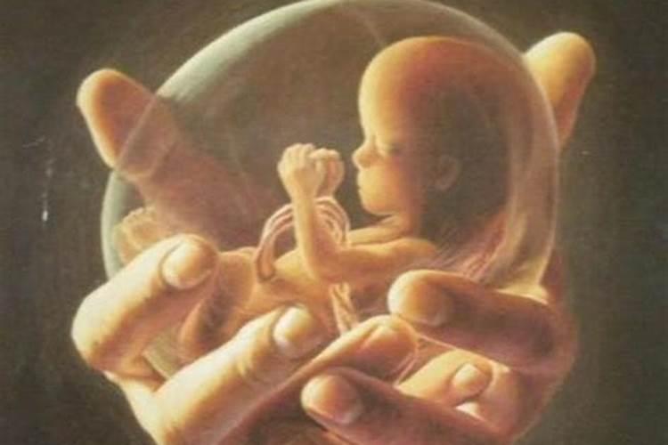 为什么堕胎婴儿超度难
