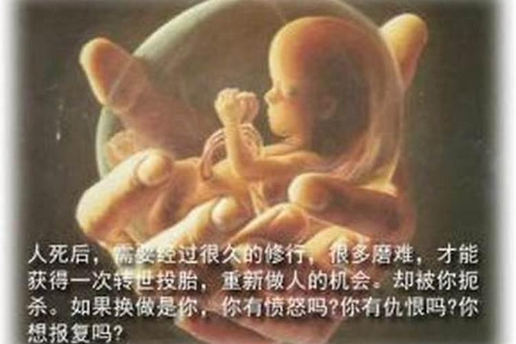 怀孕40天堕胎可有婴灵