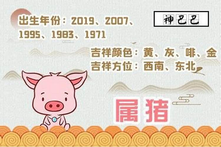 1971年9月出生属猪的是什么命？1971年属猪哪年运势最好
